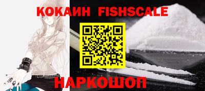 гидра Кингисепп