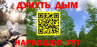 гидра Кингисепп