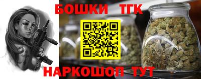 гидра Кингисепп