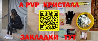 гидра Кингисепп