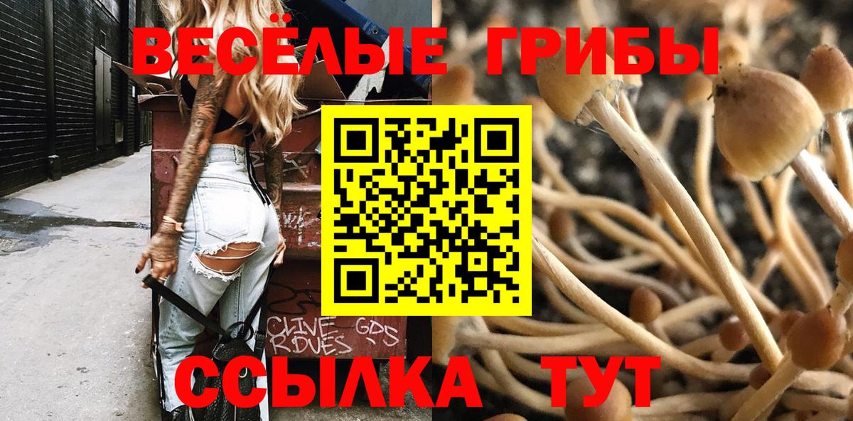 Псилоцибиновые грибы MAGIC MUSHROOMS  Вход с VPN  Галлюциногенные грибы прущие грибы  Ковров 